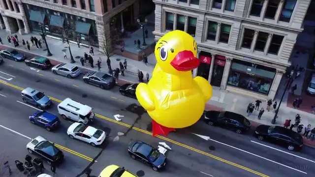 giant-duck-walks-through-boston