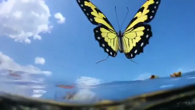 photorealisitic-video-of-butterfly-swimming-underwater