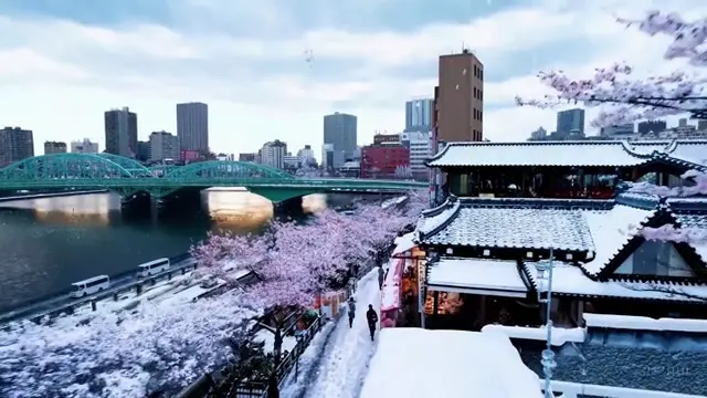 tokyo-in-the-snow