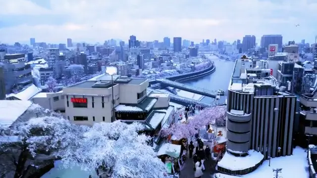 tokyo-streetview